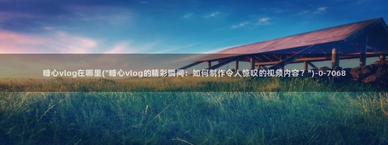 糖心vlog.con