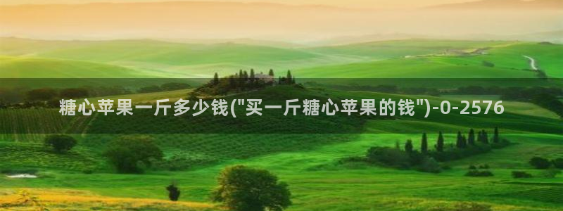 心糖vlog免费版