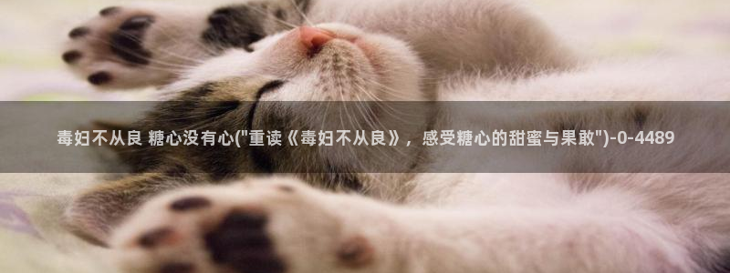 91糖心vlog下载
