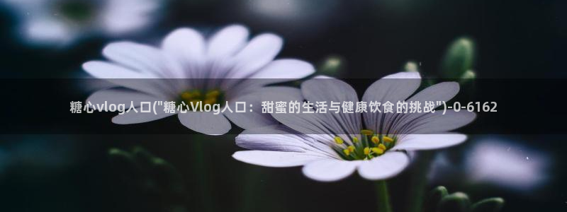 国产糖心vlog在线观看