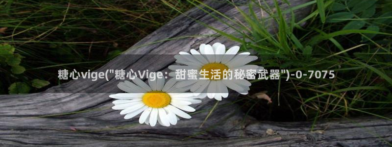 糖心vlog下载安卓版：糖心vige(\