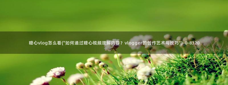 懒懒猪糖心vlog在线观看免费