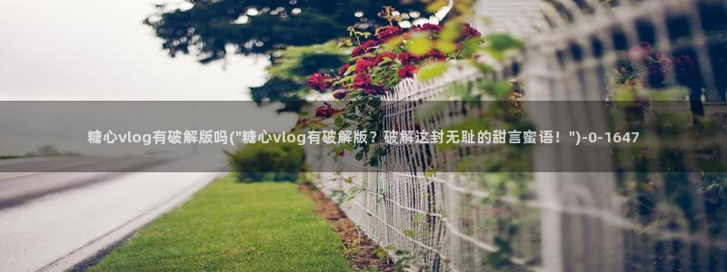 心糖vlog免费在线观看