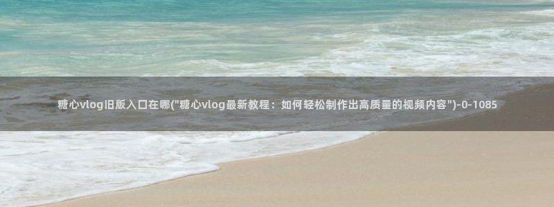 糖心vlog网站入口