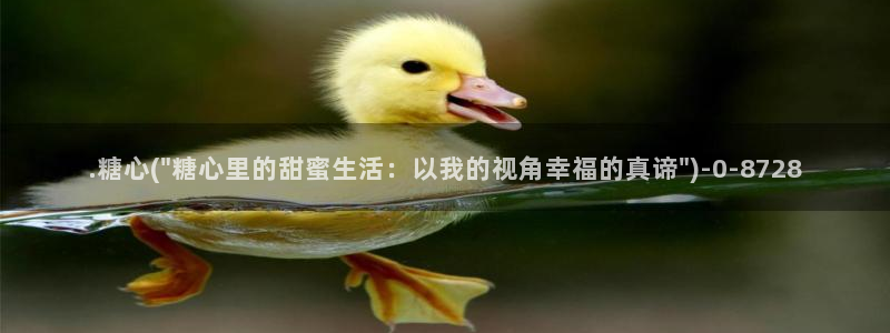 9糖心vlog