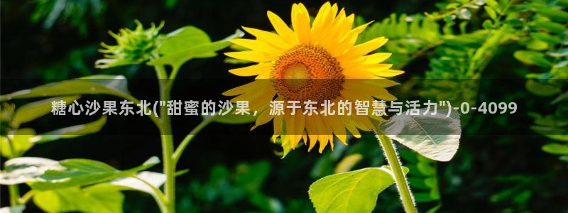 糖心vlog最新网站入口下载