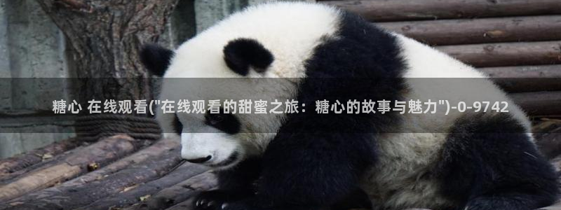 糖心少女vlog孤独的生日